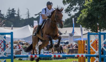 Festivals and Country Show Show jumping at the New Forest Show in the New Forest