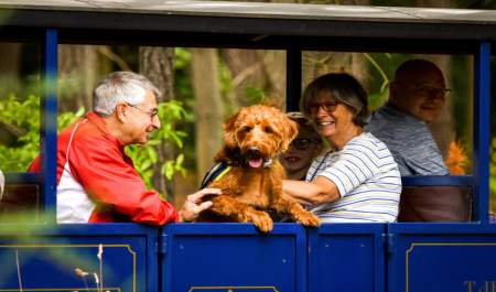 Dog Friendly things to do Collection
