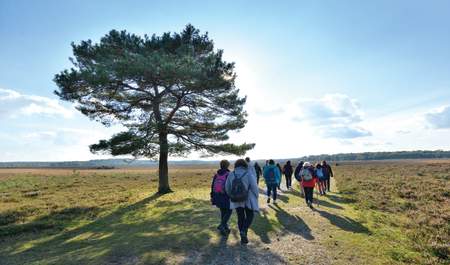 guided walking collection