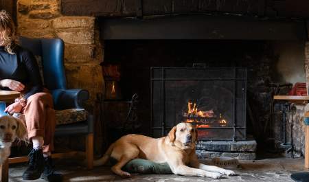 A dog sat in front of the fire with his owner sat in a chair and another dog next to her