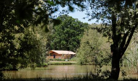 Safari lodge glamping accommodation at Green Hill Farm in the New Forest