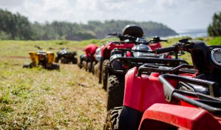 Things to do in Honiton