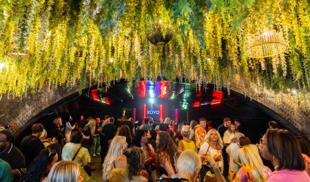 Music and Nightlife