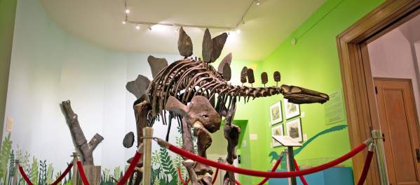Everhart Museum dinosaur