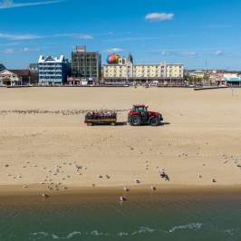 Beach Tractor Rides