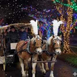 Winterfest Horse and Carriage Buggy