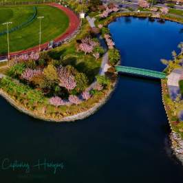 Spring time at Northside Park