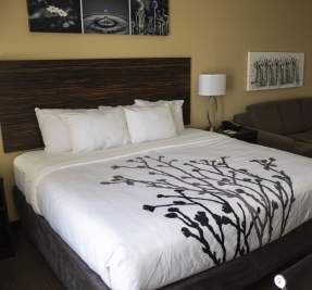 king size in hotel room