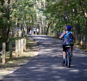 biking along the greenway
