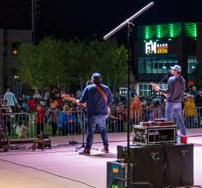 fans enjoy a concert