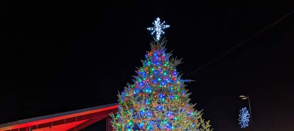 Downtown Christmas Tree Lighting