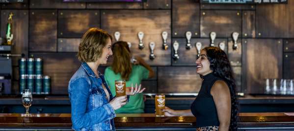 friends talking at bar with beer