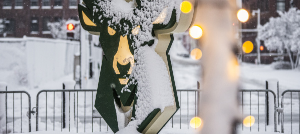statue of the Milwaukee Bucks logo in snow with holiday lights