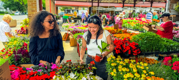 Farmers Market - West Allis Farmers Market 2