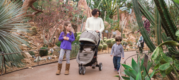 A family walking through the Mitchell Park Domes admiring the flora.