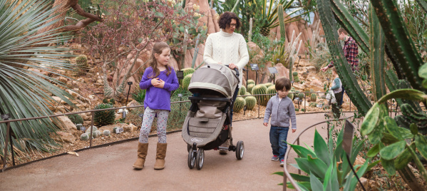 A family walking through the Mitchell Park Domes admiring the flora.