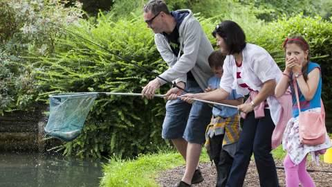 Fishing at Bibury Trout Farm