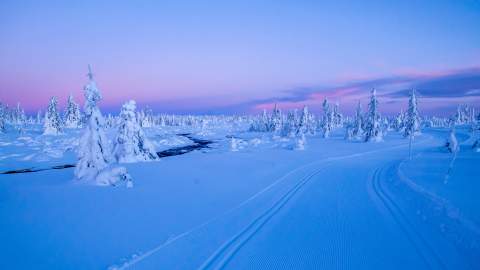 Skiløyper og rødlig solnedgang på Sjusjøen