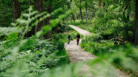 Cycling in the New Forest - Spring - Jay Waldon
