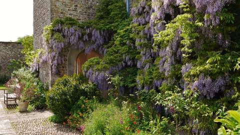 Gardeners world