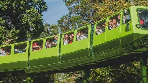Monorail at Beaulieu National Motor Museum in the New Forest - Attractions Feature