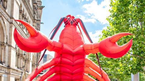 Hull Maritime Summer Festival 5