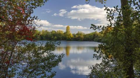 A lake glistens in the sun surrounded by trees and bushes