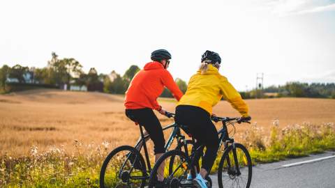 Two cycling along a cornfield