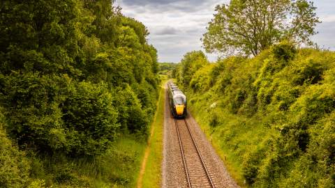A train travels past trees in the Cotswolds