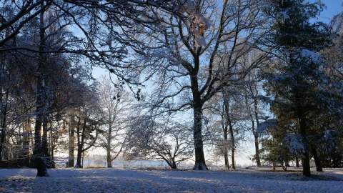 The sun setting through snow covered trees at Hidcote