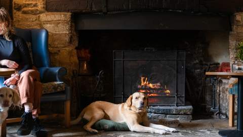A dog sat in front of the fire with his owner sat in a chair and another dog next to her