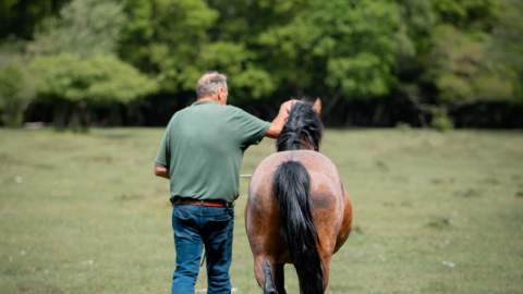 New Forest Commoners Defence Association