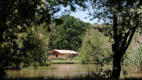 Safari lodge glamping accommodation at Green Hill Farm in the New Forest