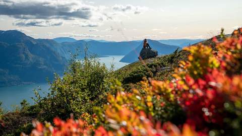Fjelltur Børesteinen, Luster