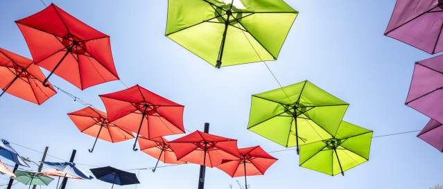 Antique Umbrella Alley umbrellas in the sun