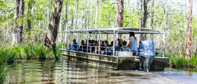 An early spring tour of Honey Island Swamp with Cajun Encounters in Slidell.