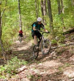 Male mountain biking through the forest