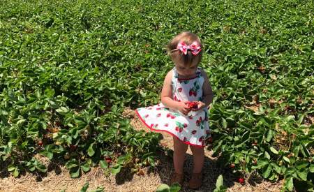 A little girl in a dress picks strawberries at Seiple Farms In Lehigh Valley, PA