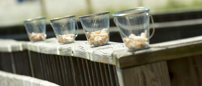 Beach wedding decorations