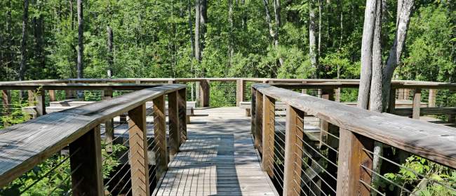 Hiking trail at Westgate Park in Leland, NC.