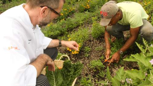 Savor Sustainability