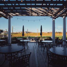Patio backing onto vineyards