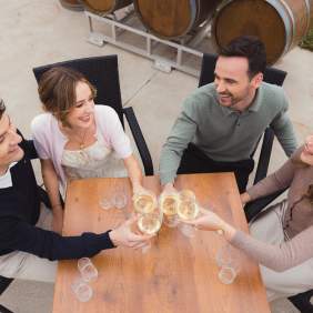 Group of friends drinking wine