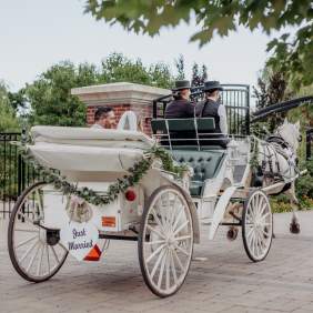 Wedding carriage