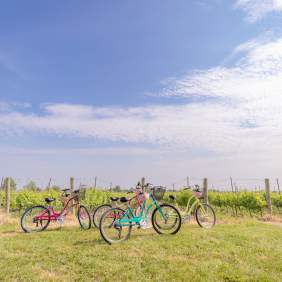 Bikes