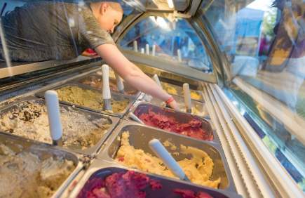 Ice Cream Festival