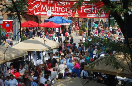 Mushroom Festival