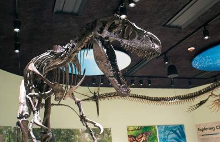 Delaware Museum of Nature & Science