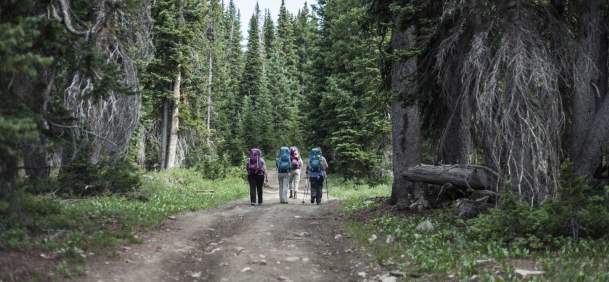 Hikers in a line along the Continental Divide Trail surrounded by scenic mountain views.