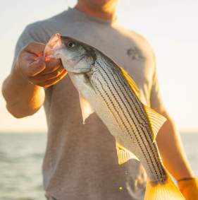Fishing